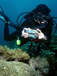 Happy Snapper!
Taken In Tenggol, Malaysia With Canon S80. by Ed Eng 